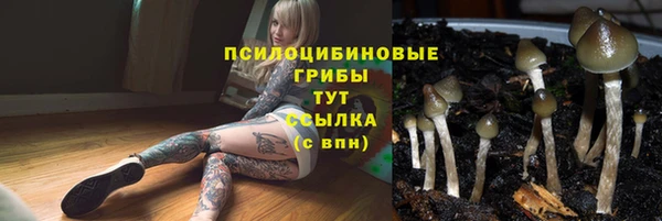 гидра Алексин