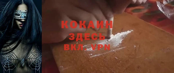 гидра Алексин