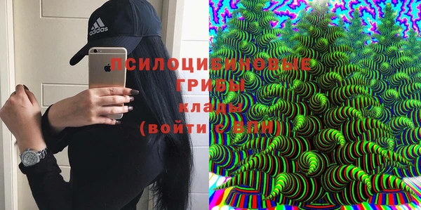 стафф Алзамай