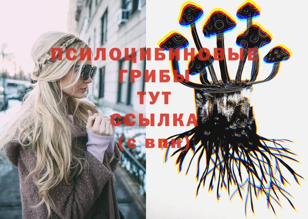 стафф Алзамай