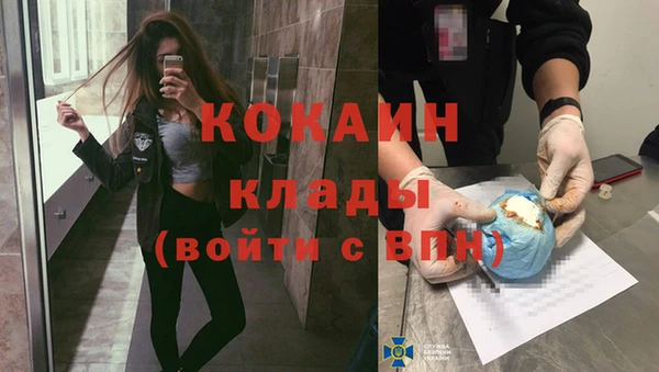 стафф Алзамай